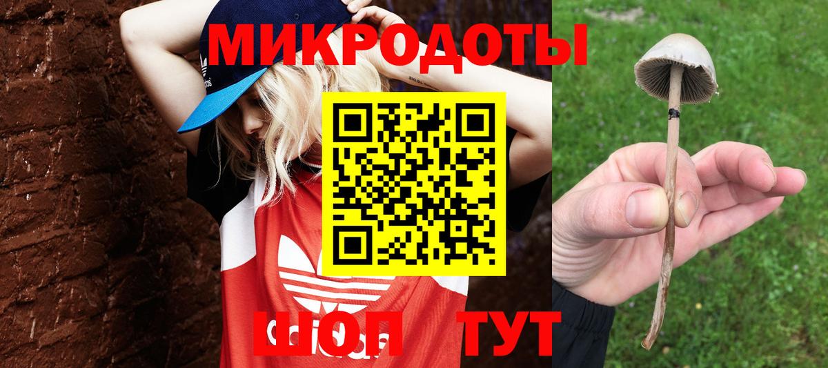 Галлюциногенные грибы ЛСД Грозный