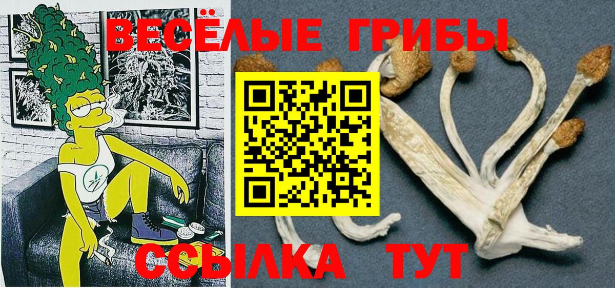 Псилоцибиновые грибы MAGIC MUSHROOMS  Вход с VPN  Грозный 